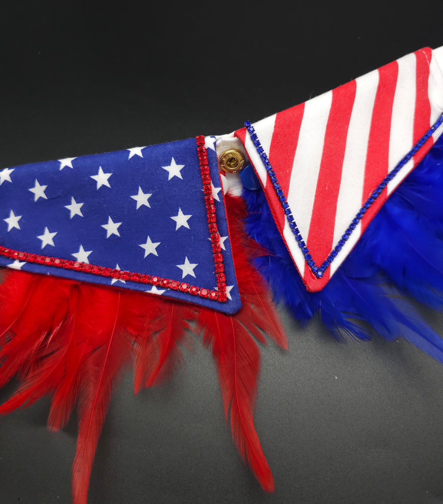 The Boujee American Stripes Collar