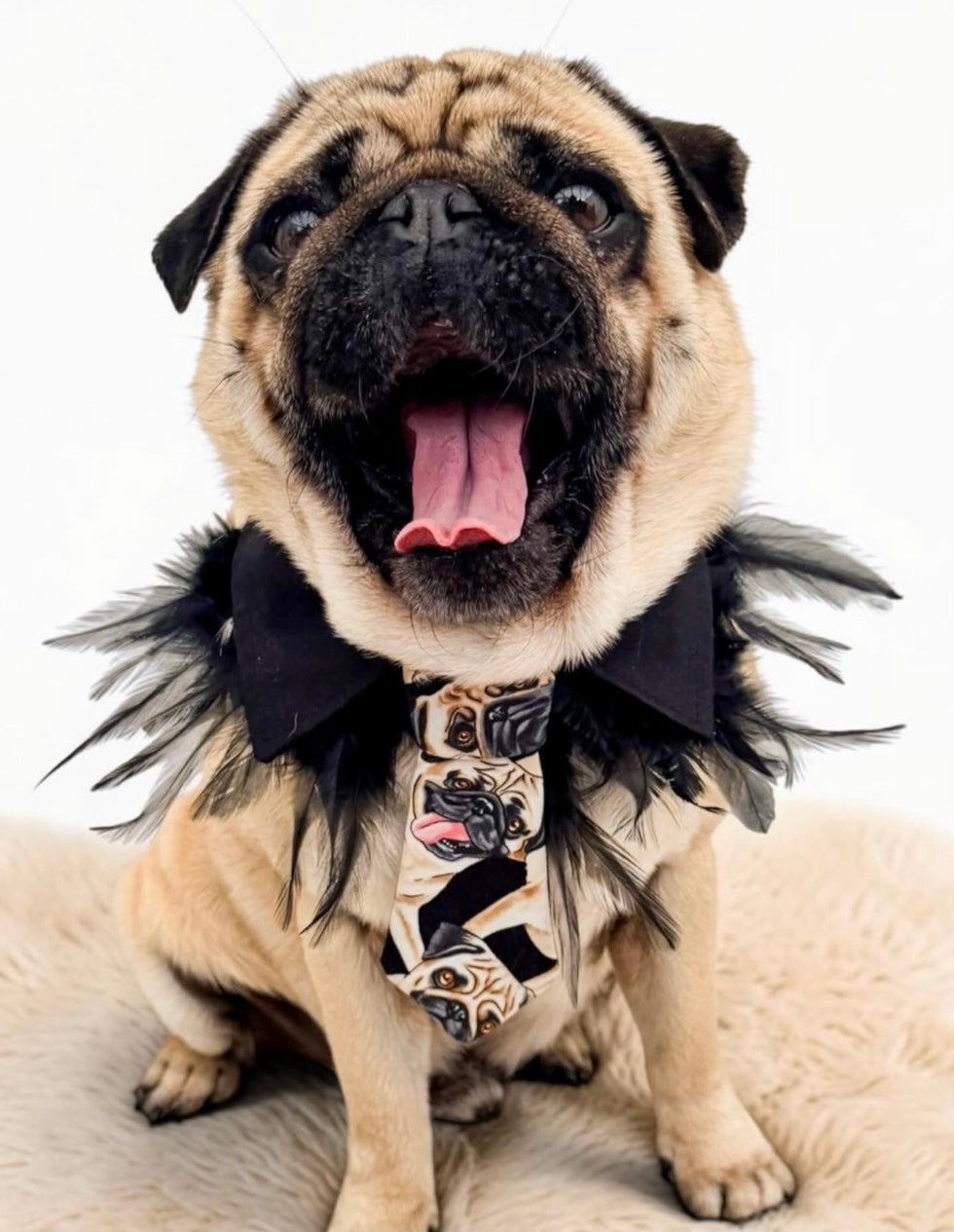 The Pug Insta Tie ®️