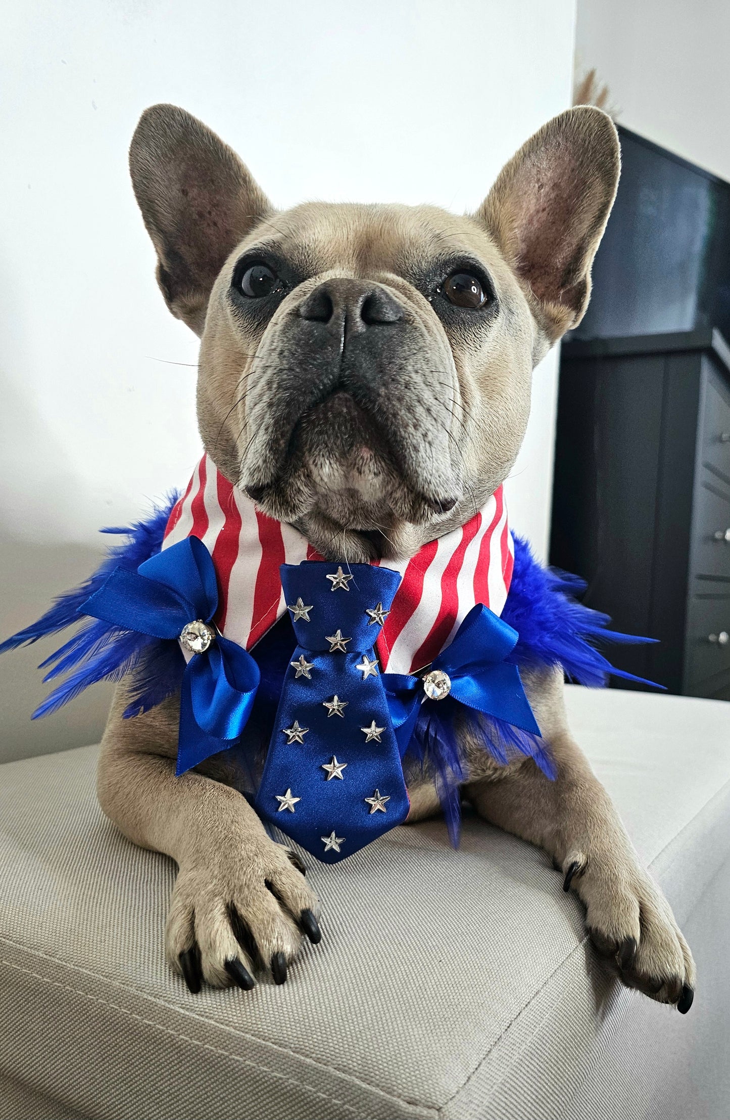 The American Stars Insta Tie®️ collar, bows with fluffies