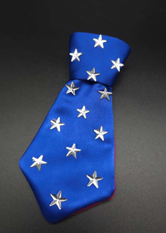 The American Stars Insta Tie ®️