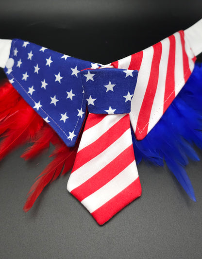 The American Insta Tie®️ and collar with fluffies