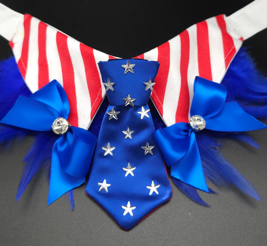 The American Stars Insta Tie®️ collar, bows with fluffies