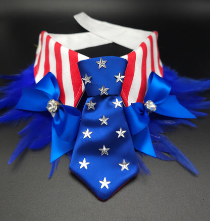 Royal blue collar bows
