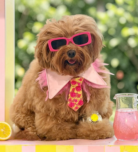 The pink lemonade Insta Tie ®️