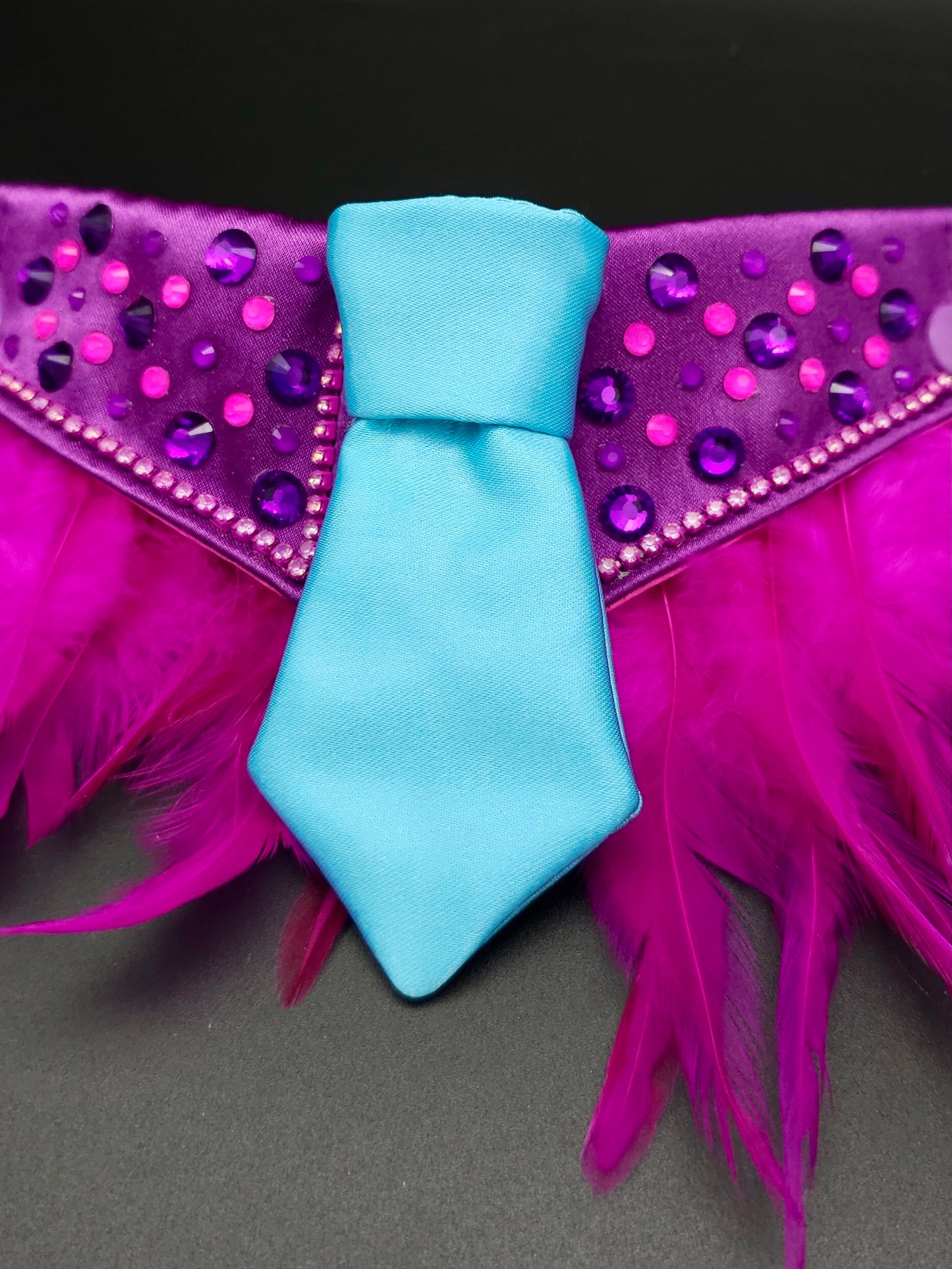 The Plum collar - collar only